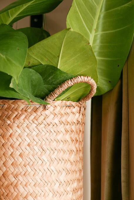 Apartment Luxury In The Exclusive Area Of Tulum